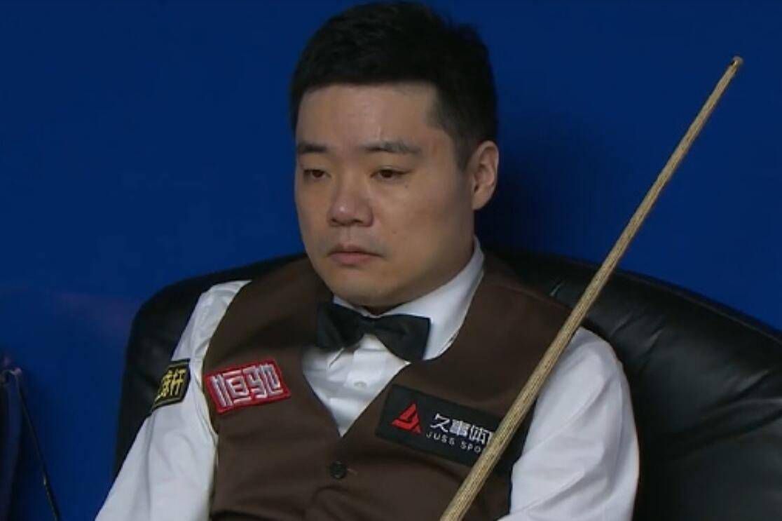 精品一区二区久久久久久久网站